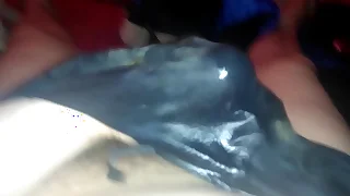 294 underwear porn videos